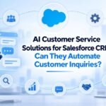 This image show the ai customer service solution for salesforce crm